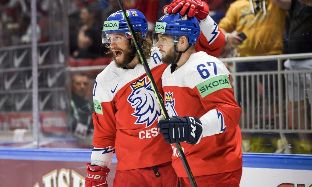 Die Nationalmannschaft kann Ersatzspieler auffordern.  Als Sedláks Ersatz könnte ein Eishockeyspieler von der „langen Liste“ kommen