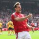 Chris Wood Nottingham Forest