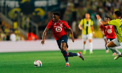 Jonathan David, LOSC Lille