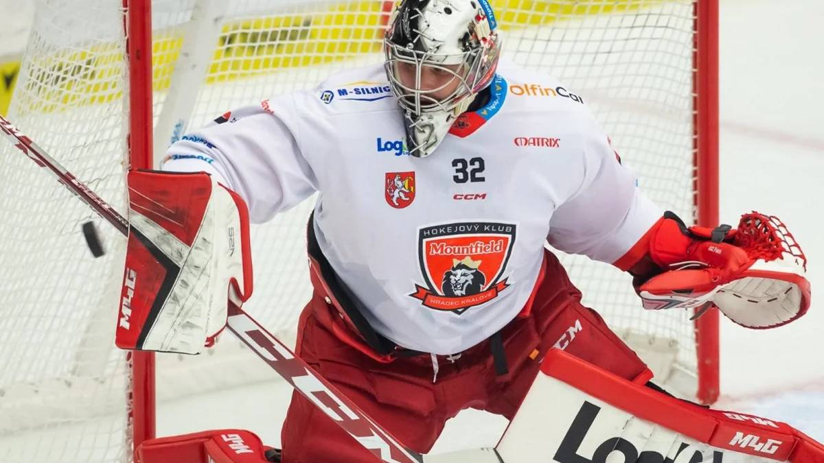 Patrik Bartošák HC Mountfield