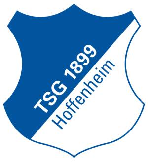 TSG Hoffenheim logo