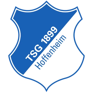 TSG Hoffenheim logo