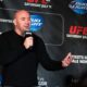 dana white, ufc