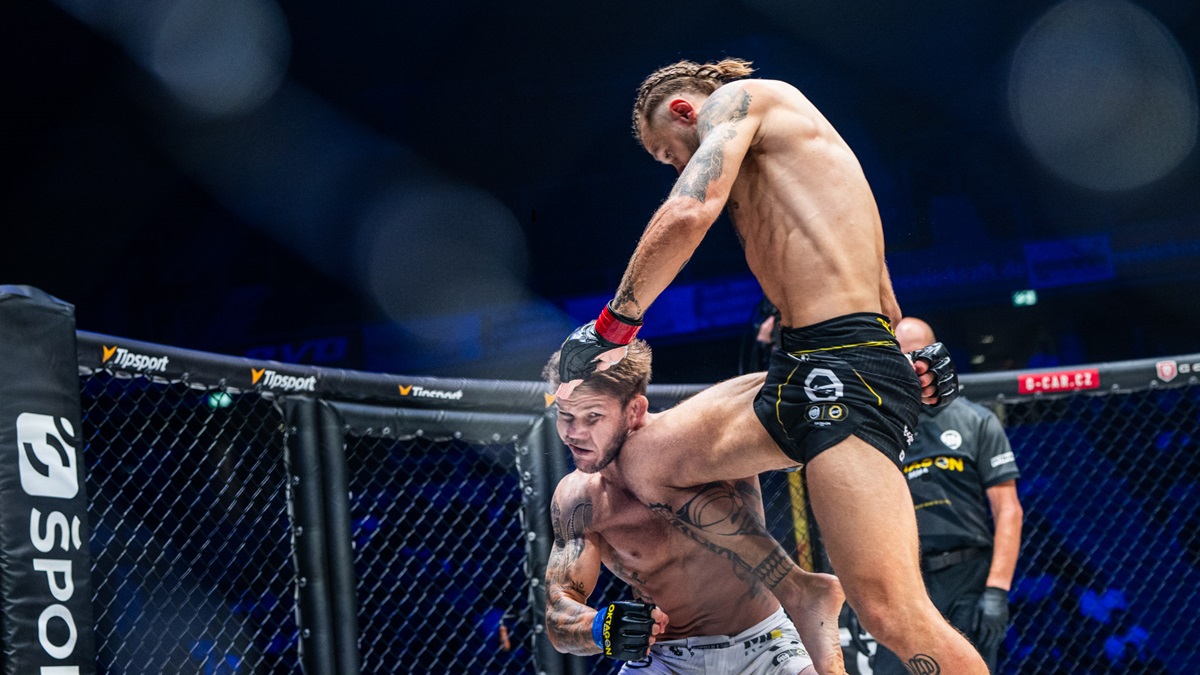 niklas stolze, matous kohout, oktagon mma