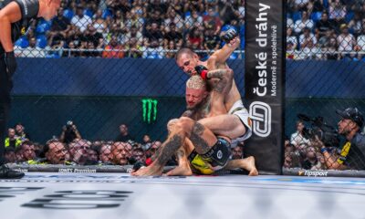 radek rousal, marco novak, oktagon mma